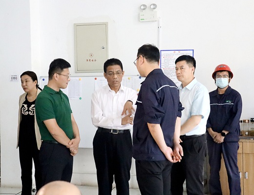 应急管理部副部长孙广宇率队到国泰化工调研安全生产工作