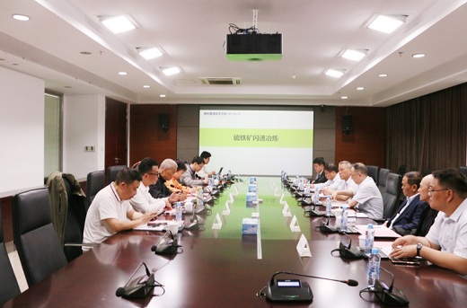 集团公司聚焦硫铁矿资源高效开发
