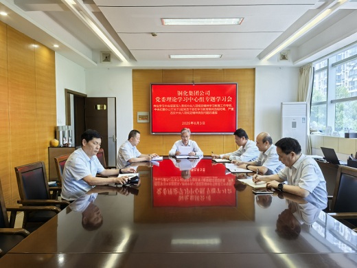 集团公司党委召开理论学习中心组专题学习会