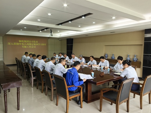 集团公司党委召开专题工作会议对整治违规吃喝问题进行再强调再部署