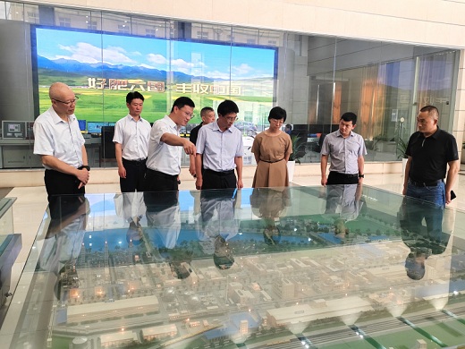 桐城市寻求与六国化工开展产业合作