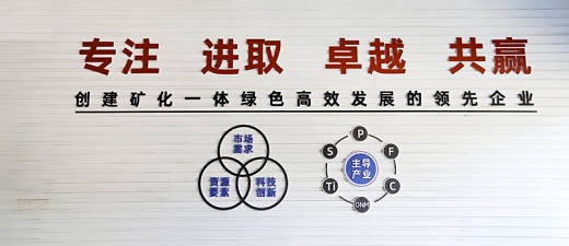 铜化集团确立新时期核心价值观    文化赋能矿化一体绿色高效发展