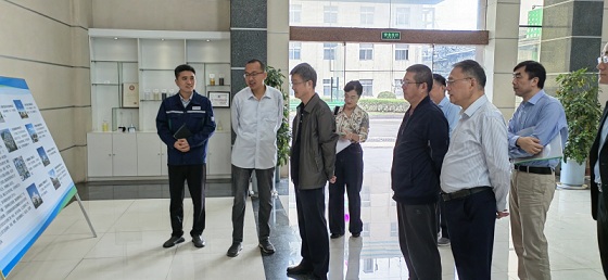 市政协调研六国化工科创平台建设工作