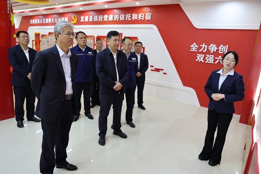 中国十五冶一行来集团公司参观交流