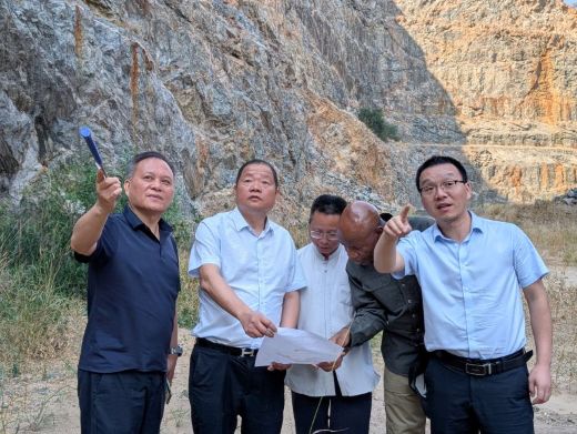 徐均生率团赴非洲三国考察矿业